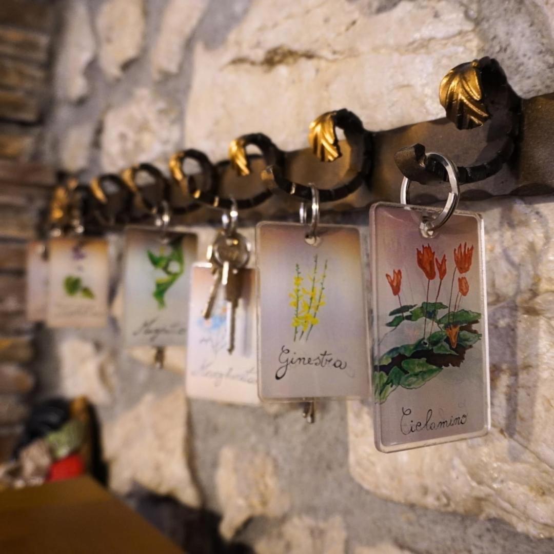 Al Piccolo Borgo Locanda Con Alloggio Castelnuovo Parano المظهر الخارجي الصورة
